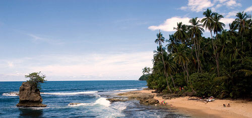 Picture of a beautiful tree line and beach in Costa Rica.  The water shows green trees and blue water and gently splashing waves.