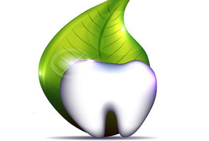 :  Illustration of a tooth wrapped with a leaf, representing how Holistic Dentistry is done in Costa Rica.